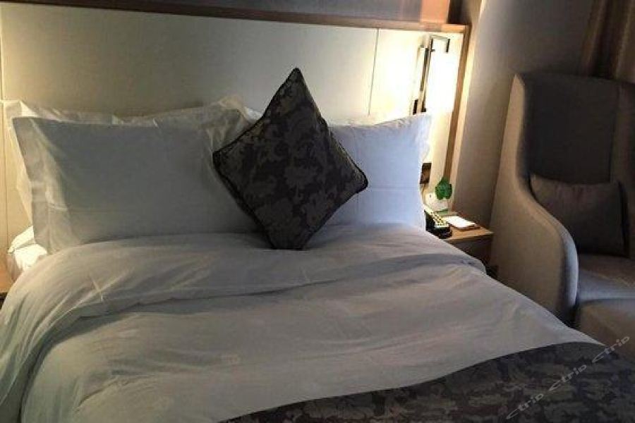 Hongdu Hotel Shenzhen Extérieur photo